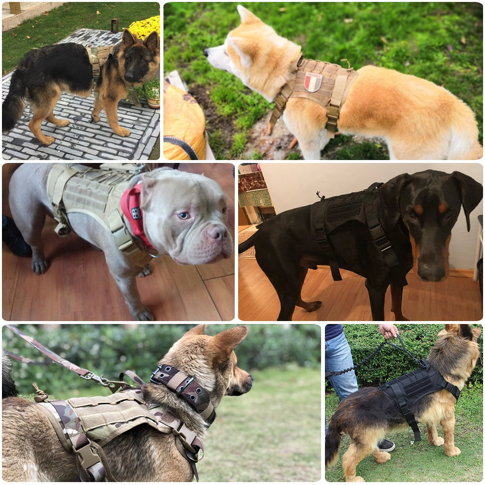Military Tactical Working Dog Harness