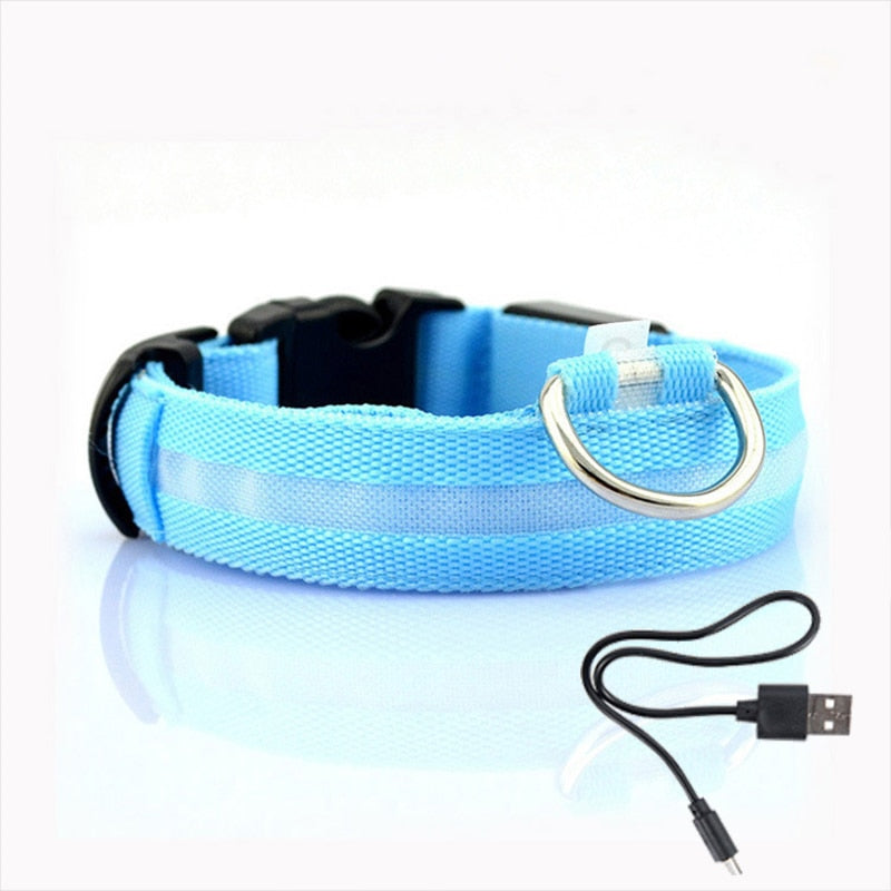 Luminous led night time collar usb rechargeable or battery operated.