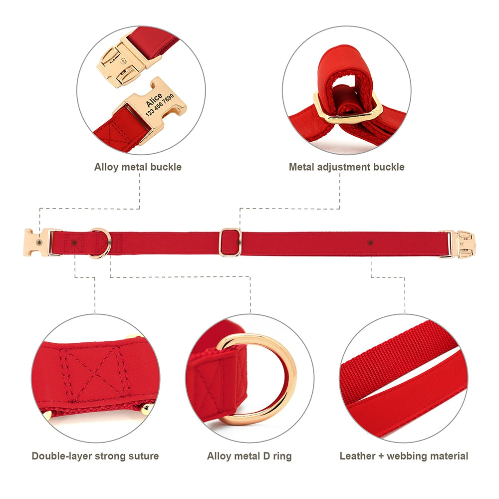 No pull harness and collar set