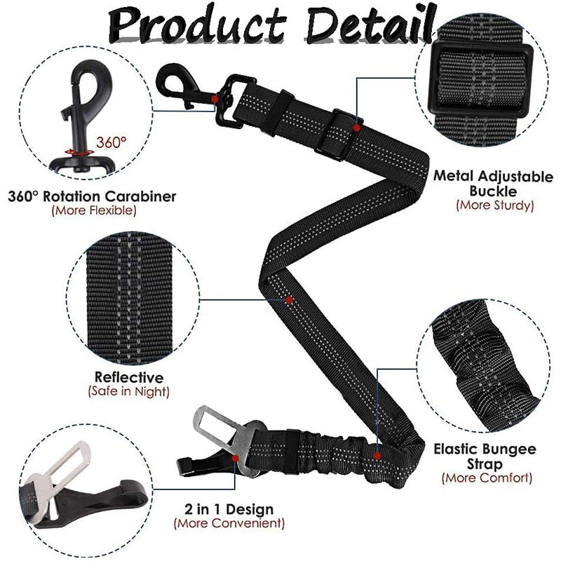 iso fix and seat belt dog lead buckle