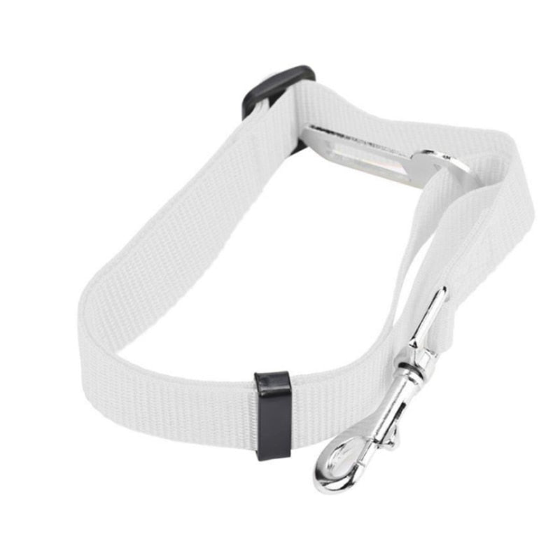 Small Pet Car Seat Belt