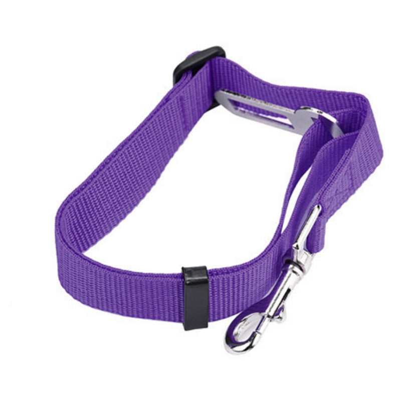 Small Pet Car Seat Belt