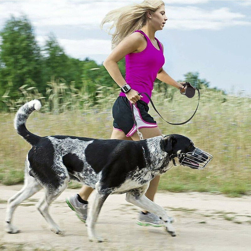 5M 8M Durable Dog Leash Automatic Retractable Dog Leash With LED Flashlight.