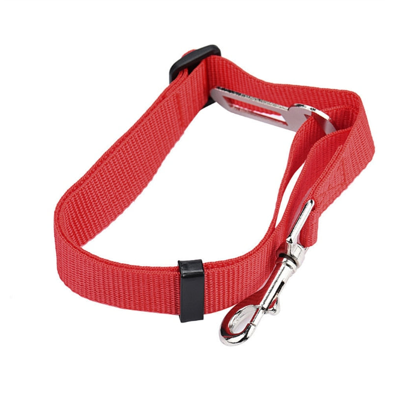 Small Pet Car Seat Belt