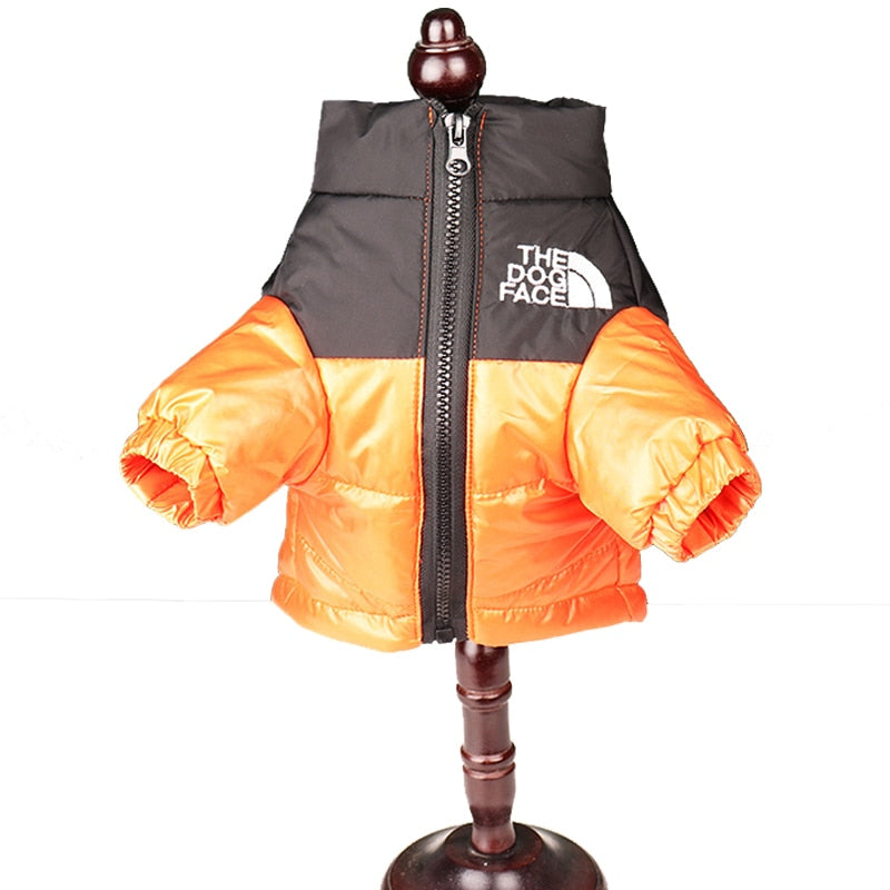 The dog face coat