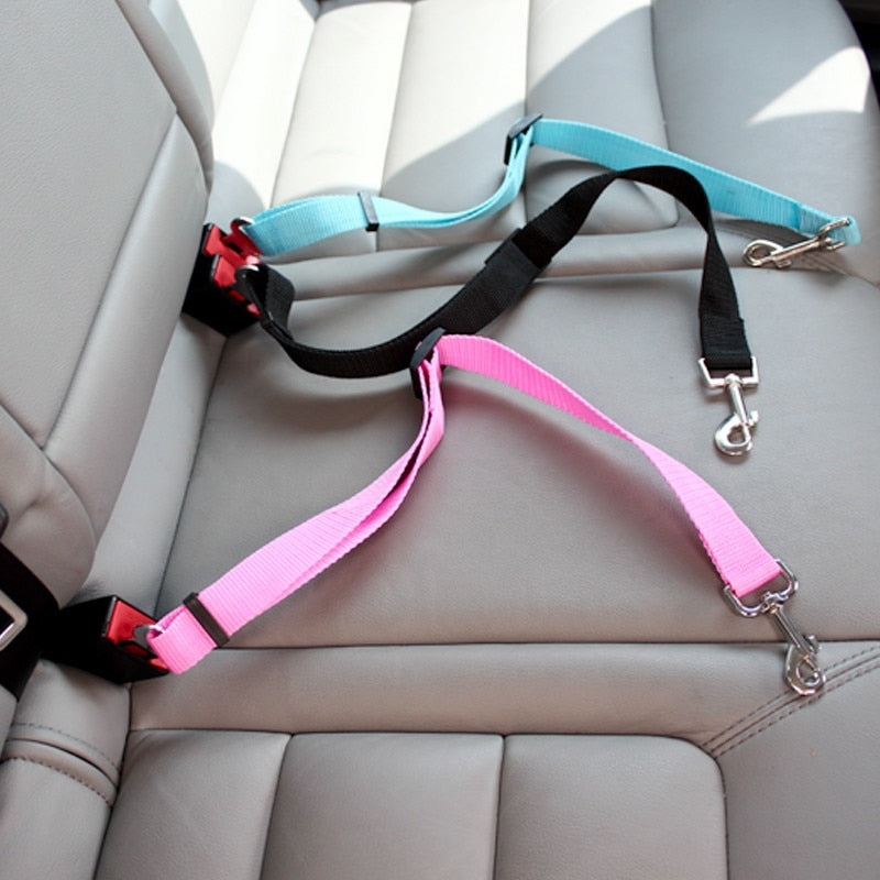 Small Pet Car Seat Belt