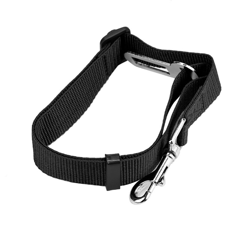 Small Pet Car Seat Belt