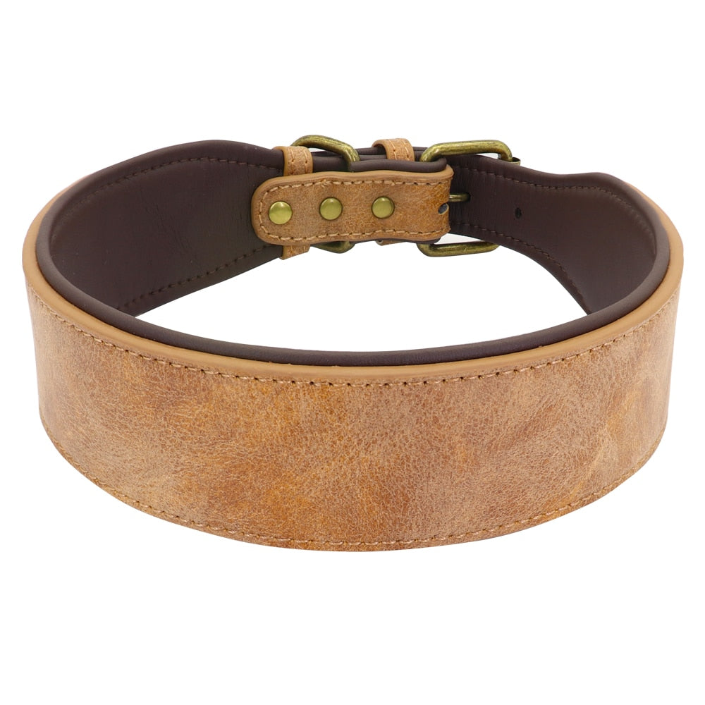 Wide Leather Dog Collar Padded