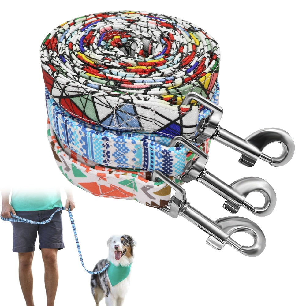Thick Printed Nylon Dog Leash