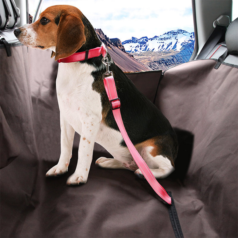 Small Pet Car Seat Belt