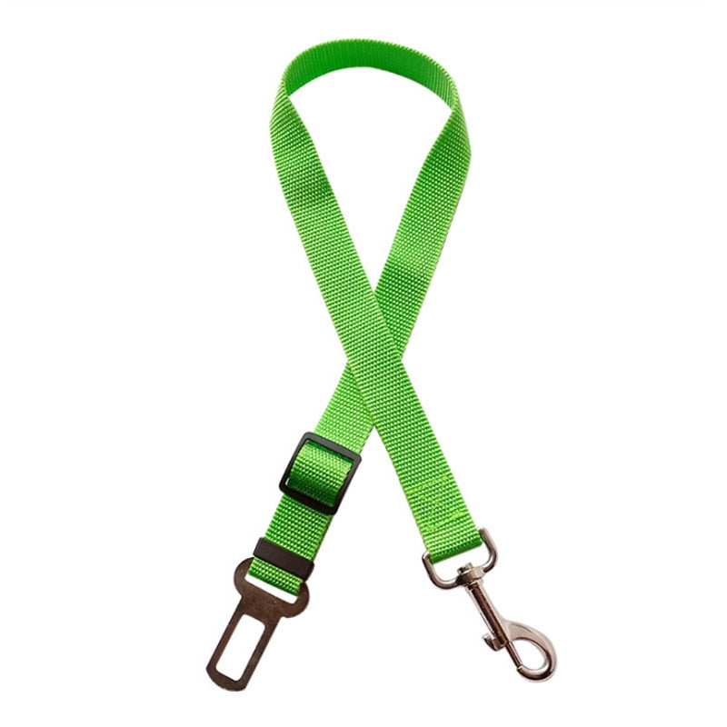 Small Pet Car Seat Belt