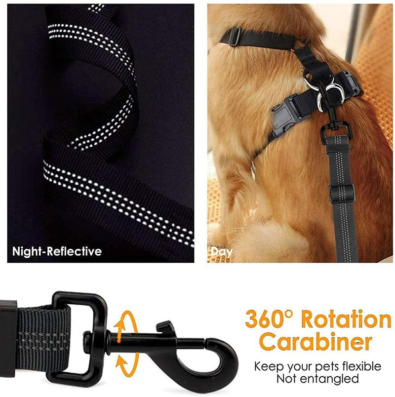 iso fix and seat belt dog lead buckle