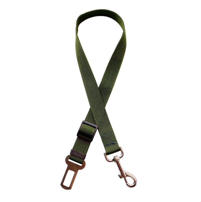 Small Pet Car Seat Belt