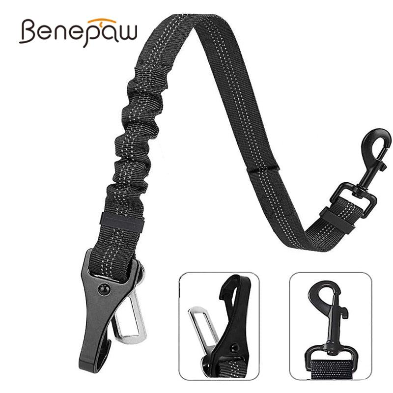iso fix and seat belt dog lead buckle