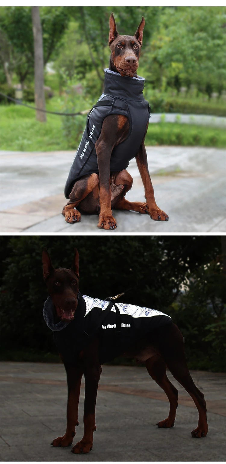 Premium reflective waterproof dog coat