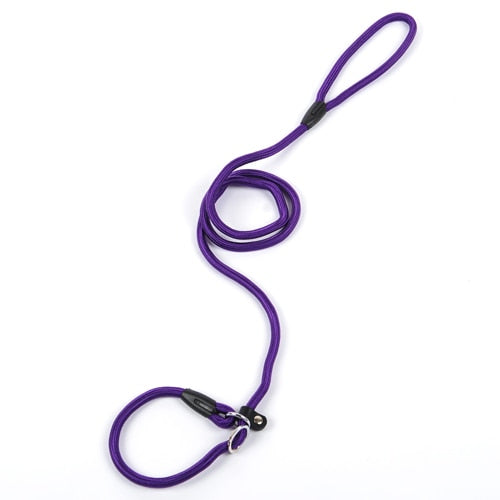collar and lead two in one made from nylon rope with leather buckle.