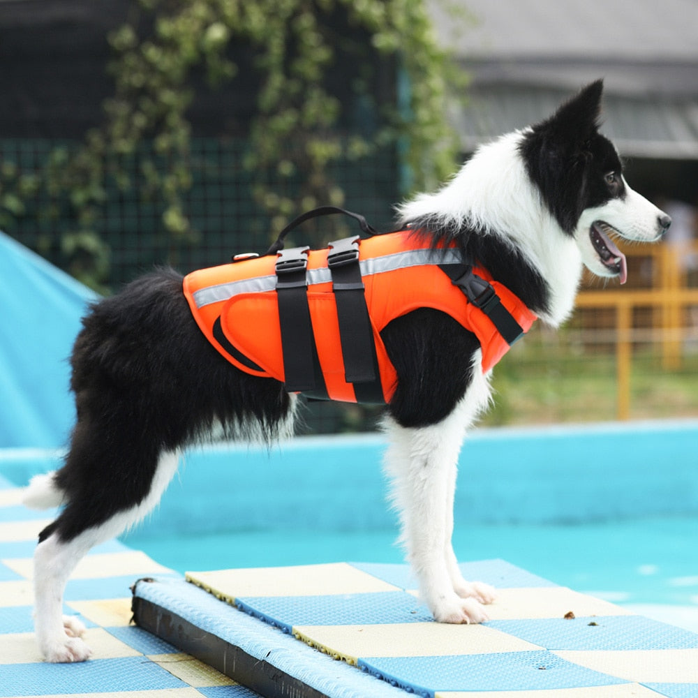 Dog Life Jacket Outdoor Safety Clothes Life Vest For Small Medium Large Dogs