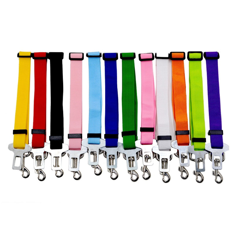 Small Pet Car Seat Belt