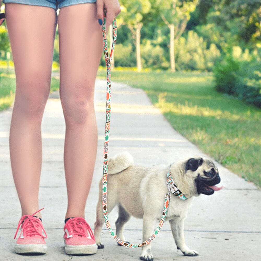 Thick Printed Nylon Dog Leash