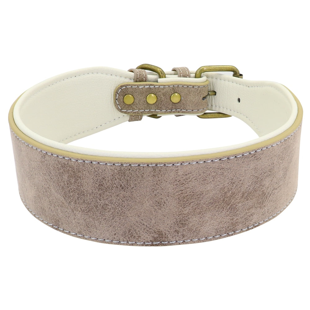 Wide Leather Dog Collar Padded