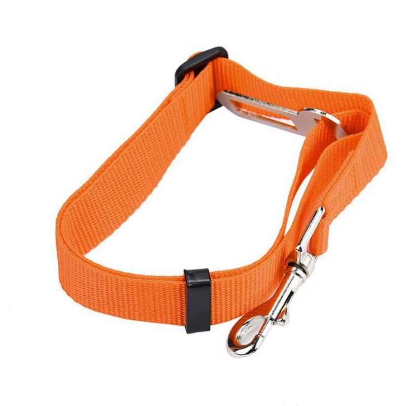Small Pet Car Seat Belt