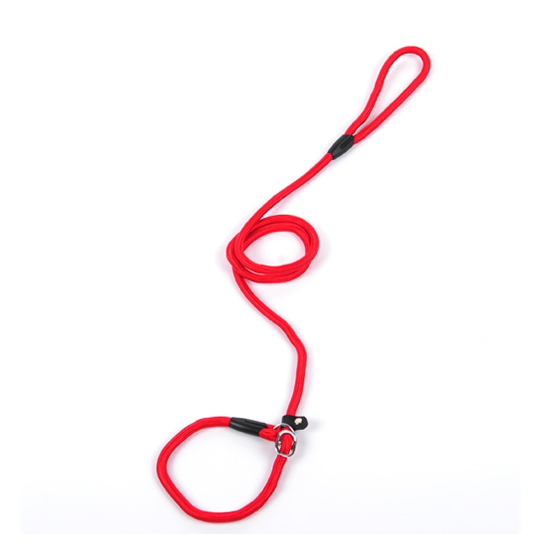 collar and lead two in one made from nylon rope with leather buckle.