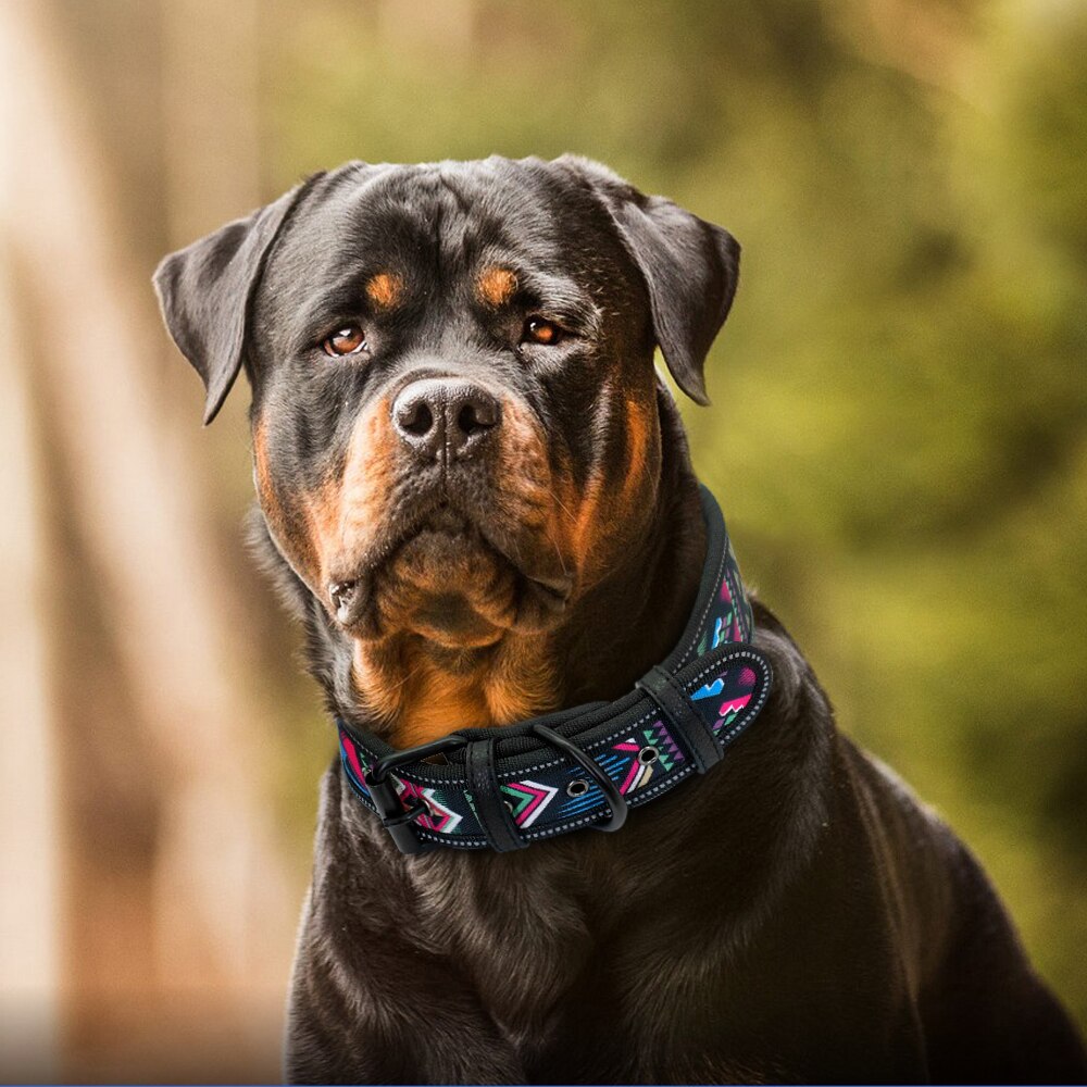 Reflective Wide Nylon Dog Collar Adjustable