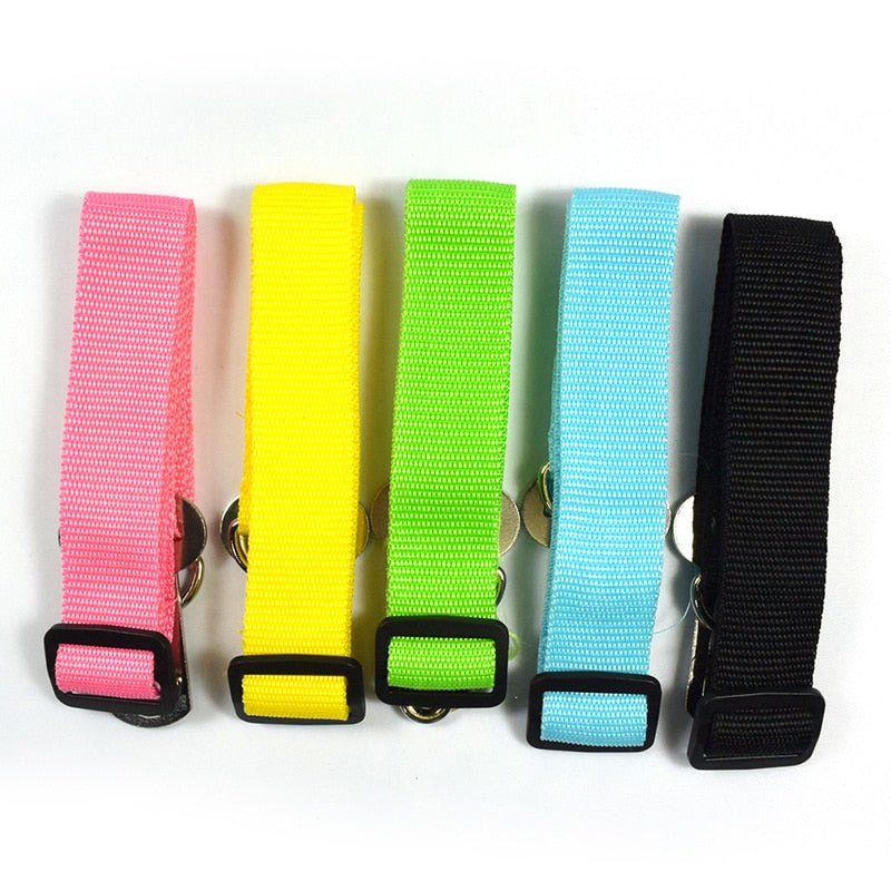 Pet seatbelt adjustable in various colours.