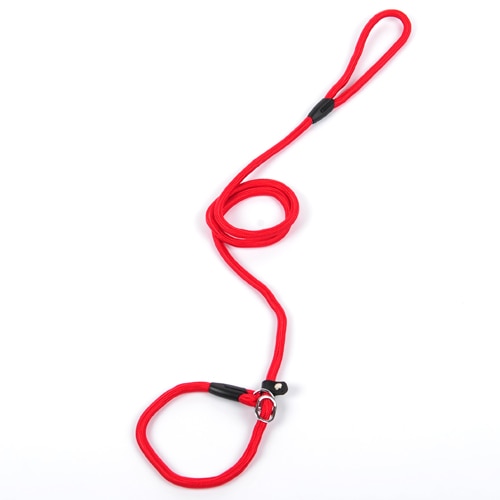 collar and lead two in one made from nylon rope with leather buckle.