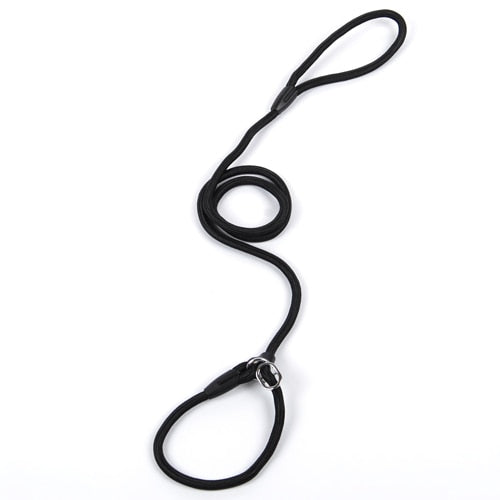 collar and lead two in one made from nylon rope with leather buckle.