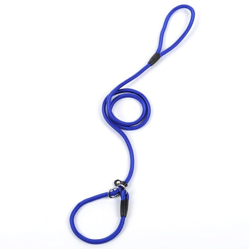 collar and lead two in one made from nylon rope with leather buckle.