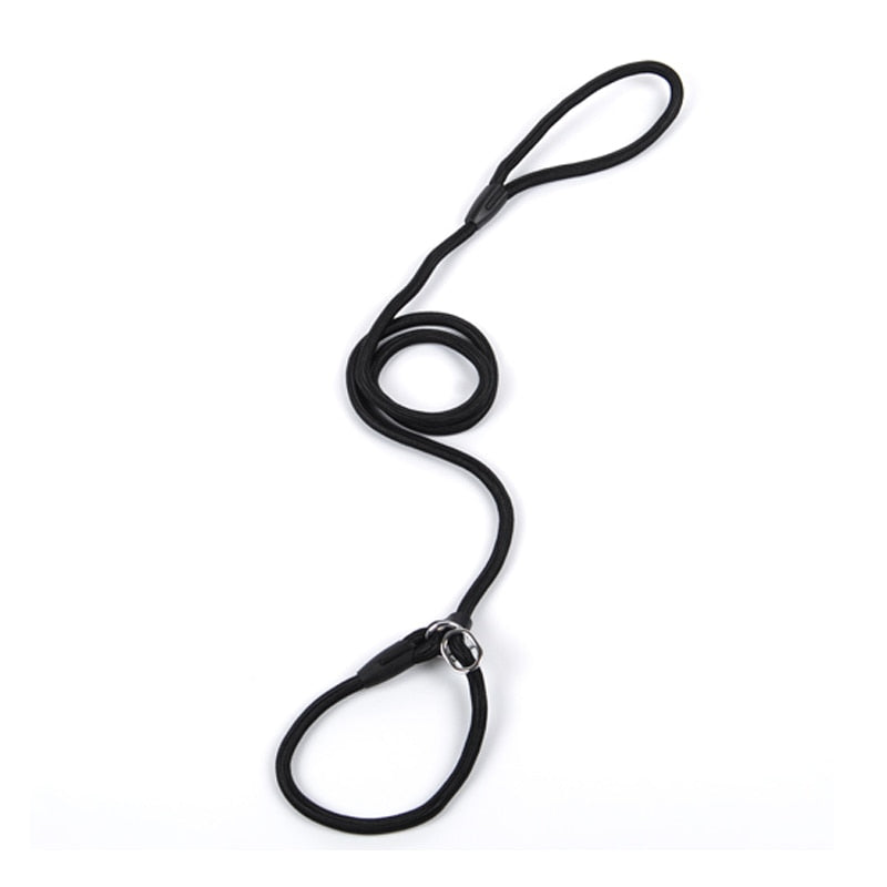 collar and lead two in one made from nylon rope with leather buckle.
