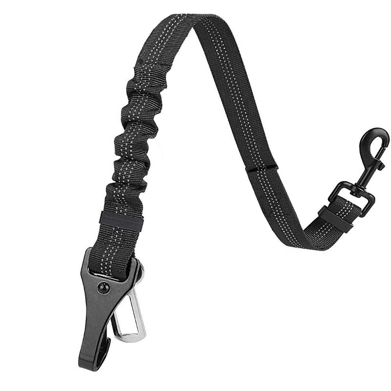 iso fix and seat belt dog lead buckle