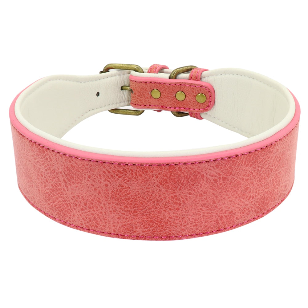 Wide Leather Dog Collar Padded