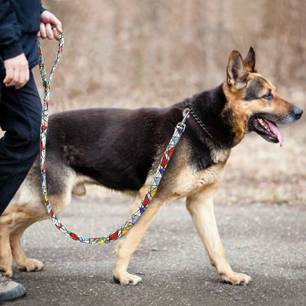 Thick Printed Nylon Dog Leash