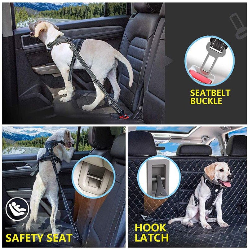 iso fix and seat belt dog lead buckle