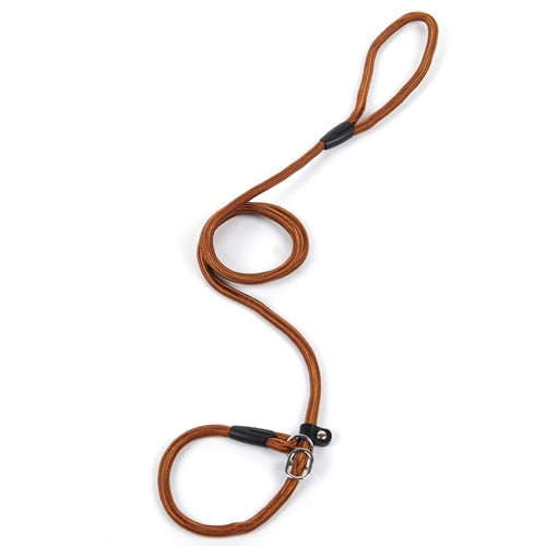 collar and lead two in one made from nylon rope with leather buckle.