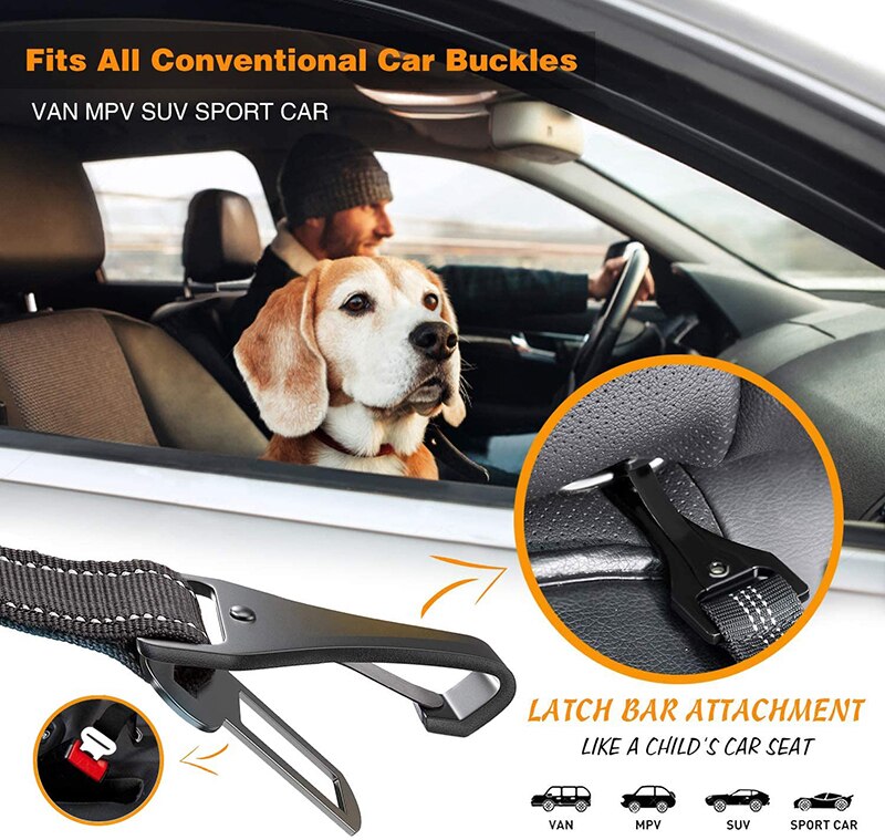 iso fix and seat belt dog lead buckle