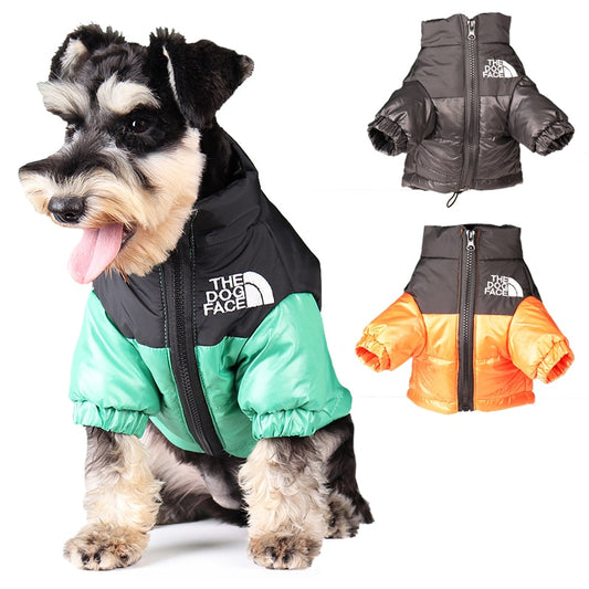 The dog face coat