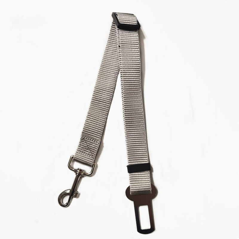 Small Pet Car Seat Belt