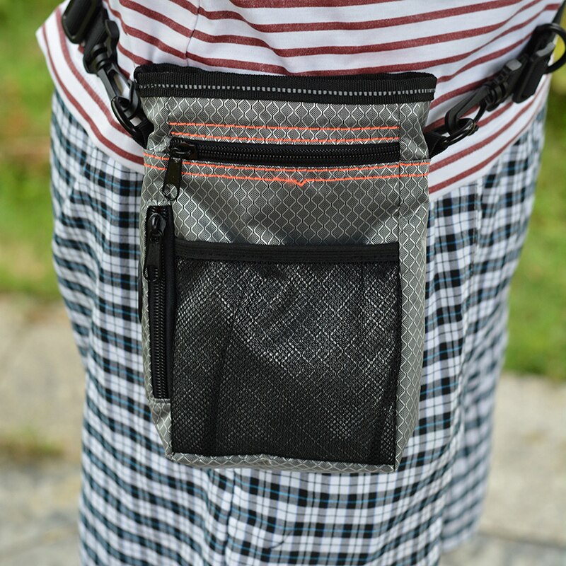 Ideal walkies/training bag