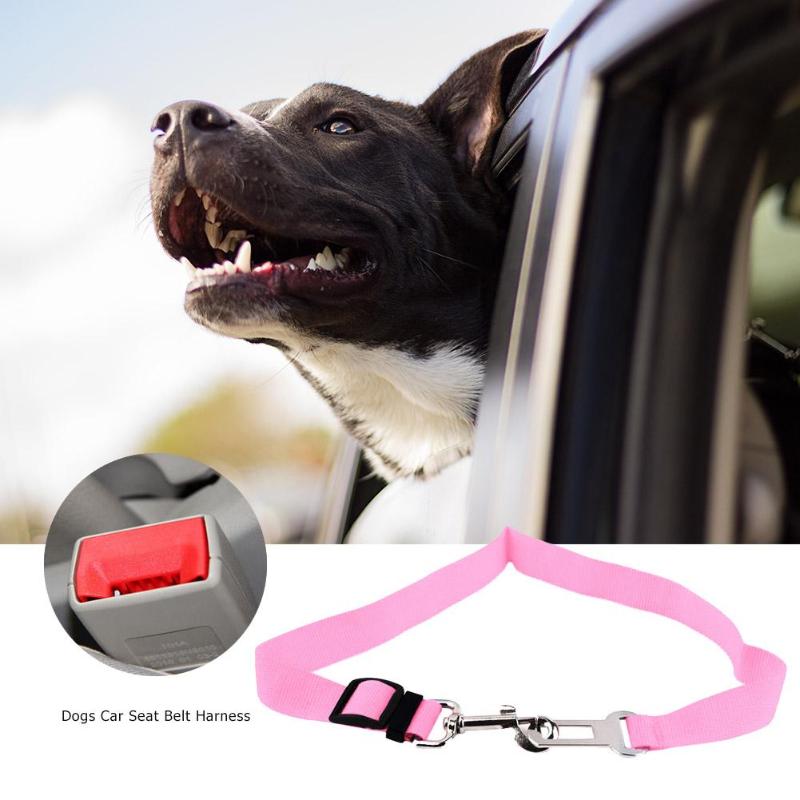 Small Pet Car Seat Belt