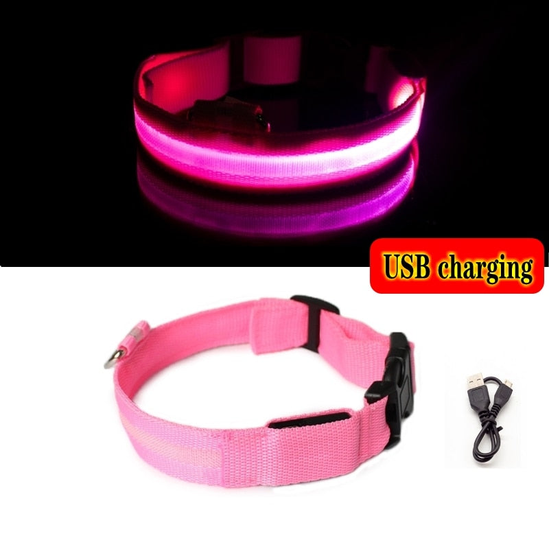 Luminous led night time collar usb rechargeable or battery operated.