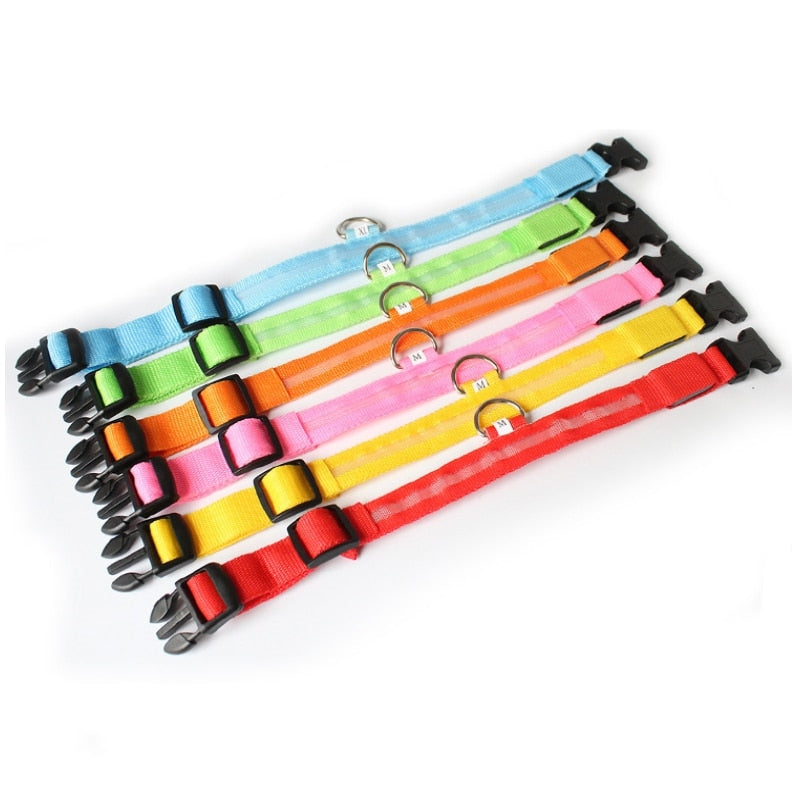 Luminous led night time collar usb rechargeable or battery operated.
