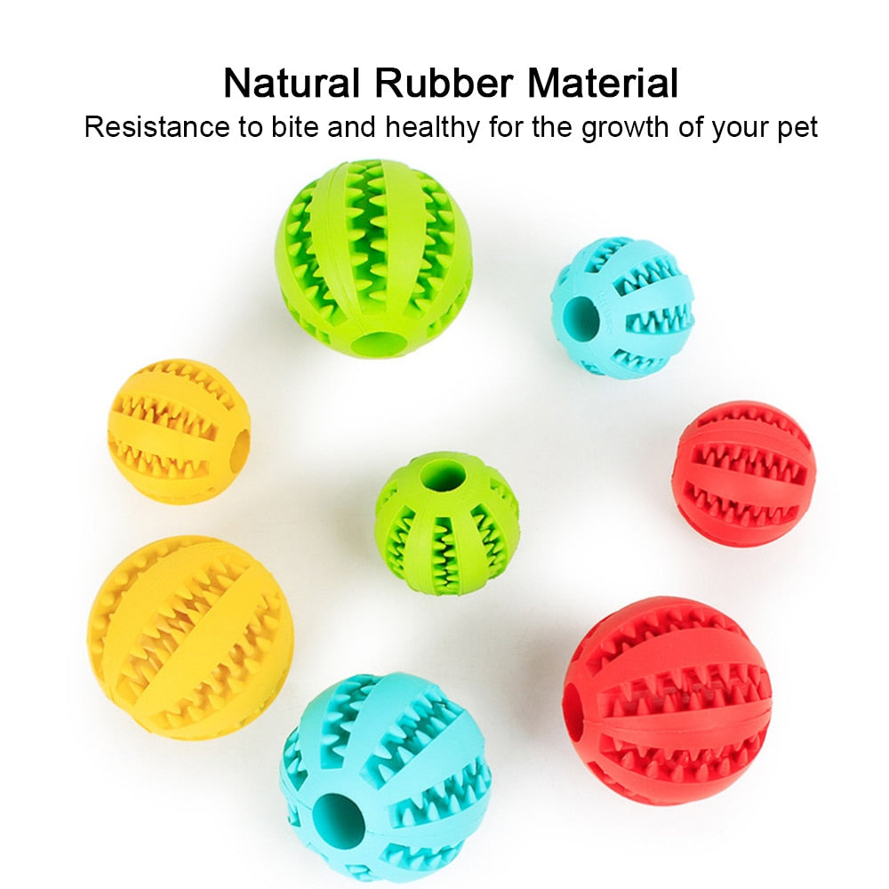 Treat Dispensing Dog Ball