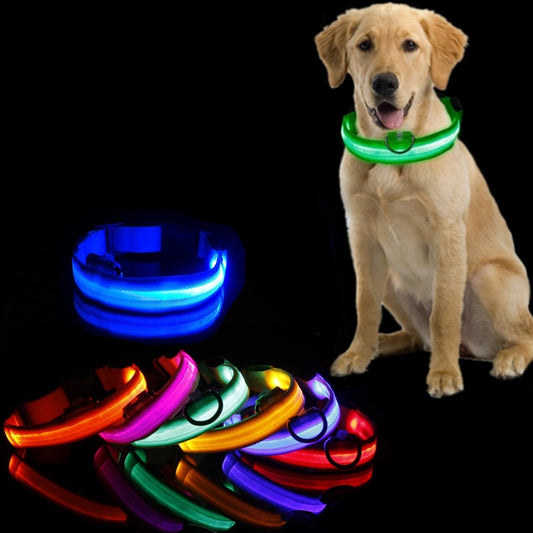 Luminous led night time collar usb rechargeable or battery operated.