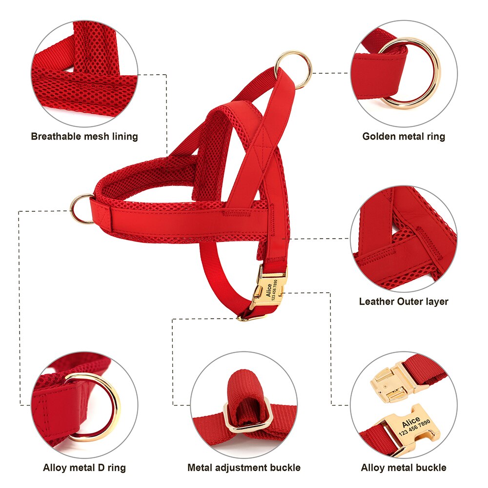 No pull harness and collar set