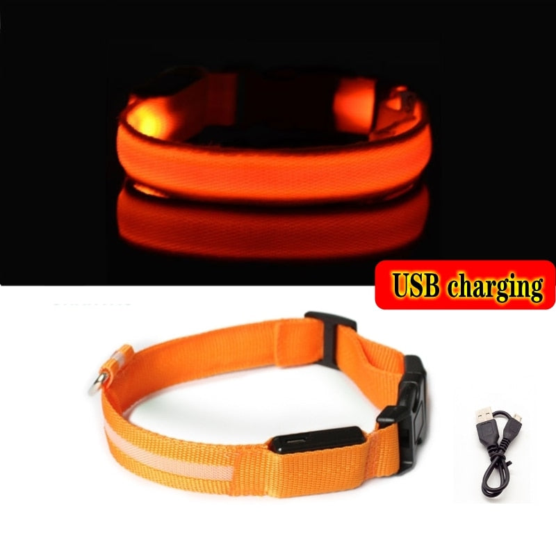Luminous led night time collar usb rechargeable or battery operated.