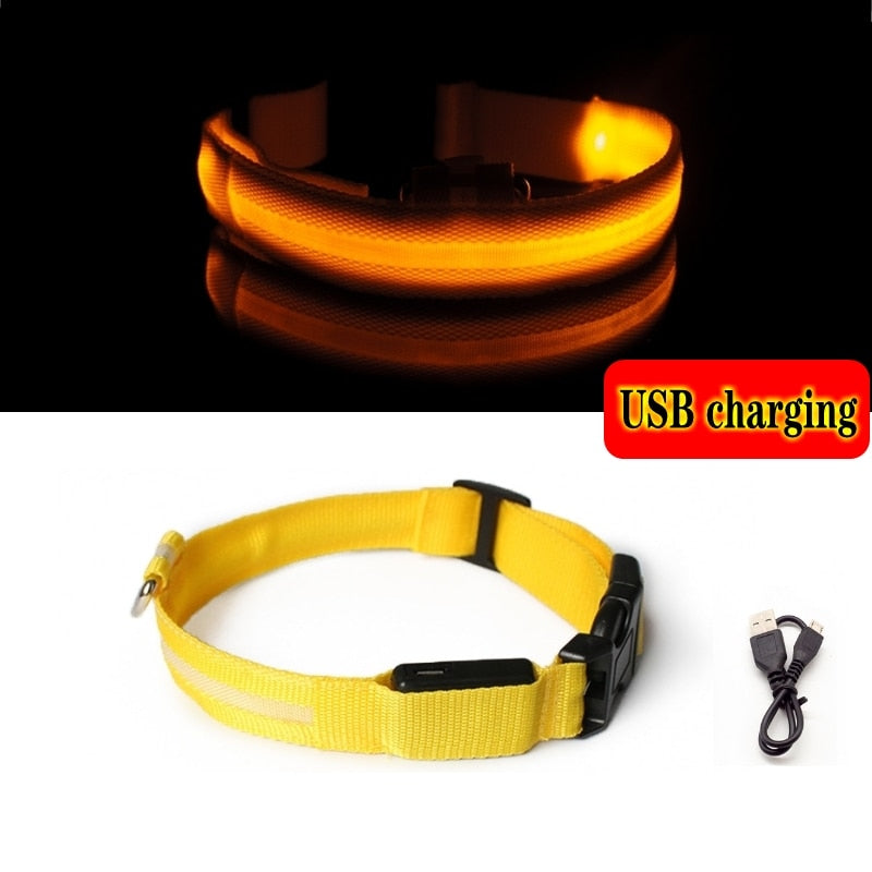 Luminous led night time collar usb rechargeable or battery operated.