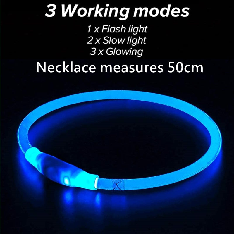 One size fits all rechargeable LED collar
